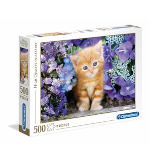 500PC HQC -GATTINO ROSSO GINGER CAT IN FLOWERS (2) ML